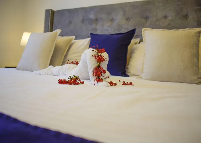 Checkin El Cortecito BeachBoutique Hotel